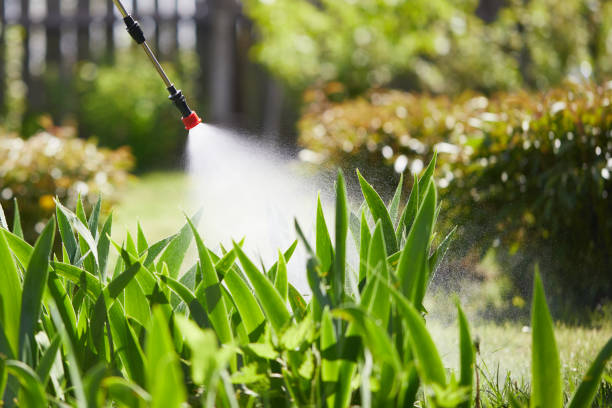 24/7 Emergency Cockroach Control experts in Ham Lake, MN
